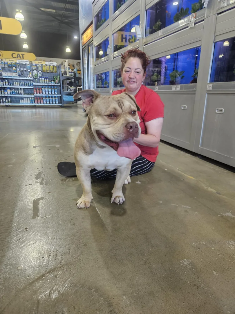 A volunteer with a dog at a Petbarn community event