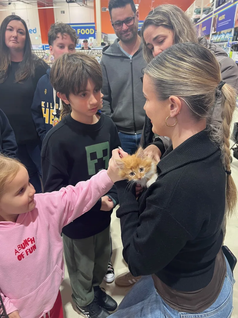 People meeting a kitten at an adoption day