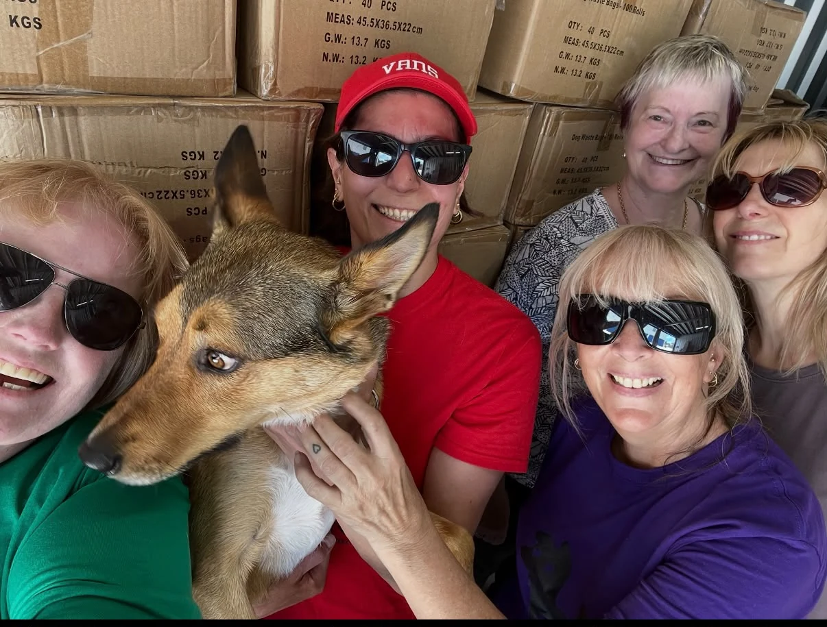 Narre Warren volunteers with a dog in front of donated supply boxes