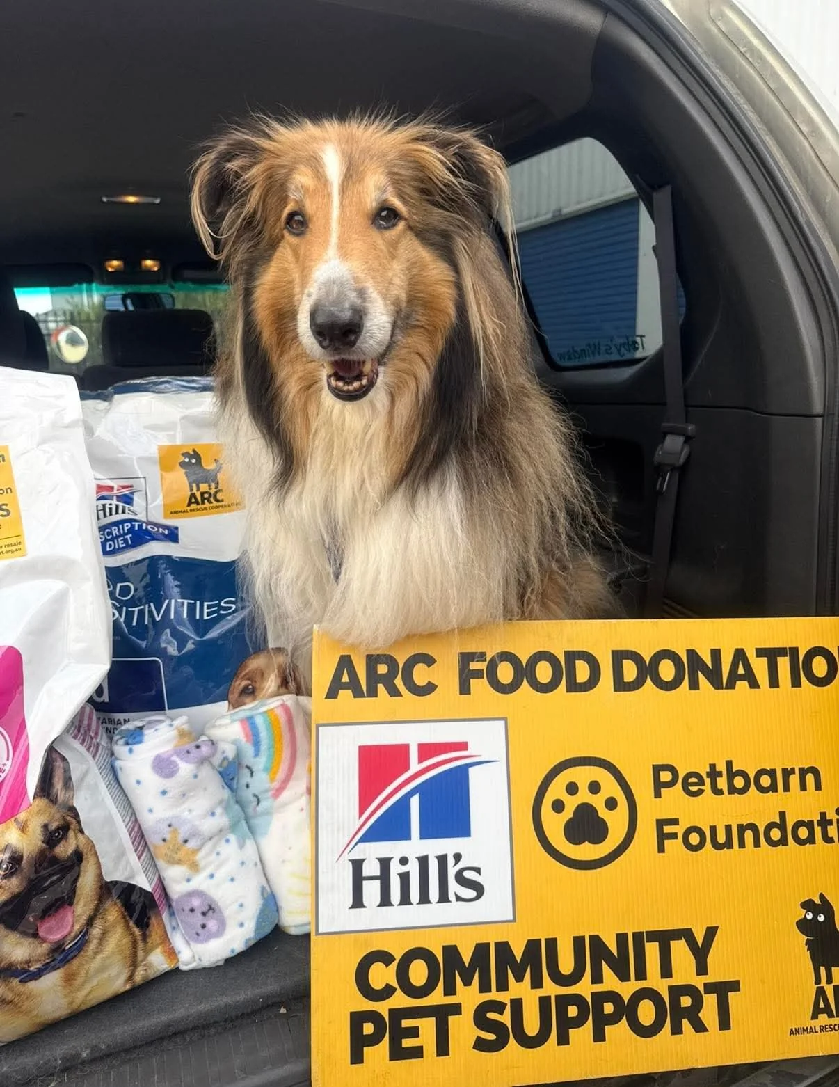 A collie with donated supplies