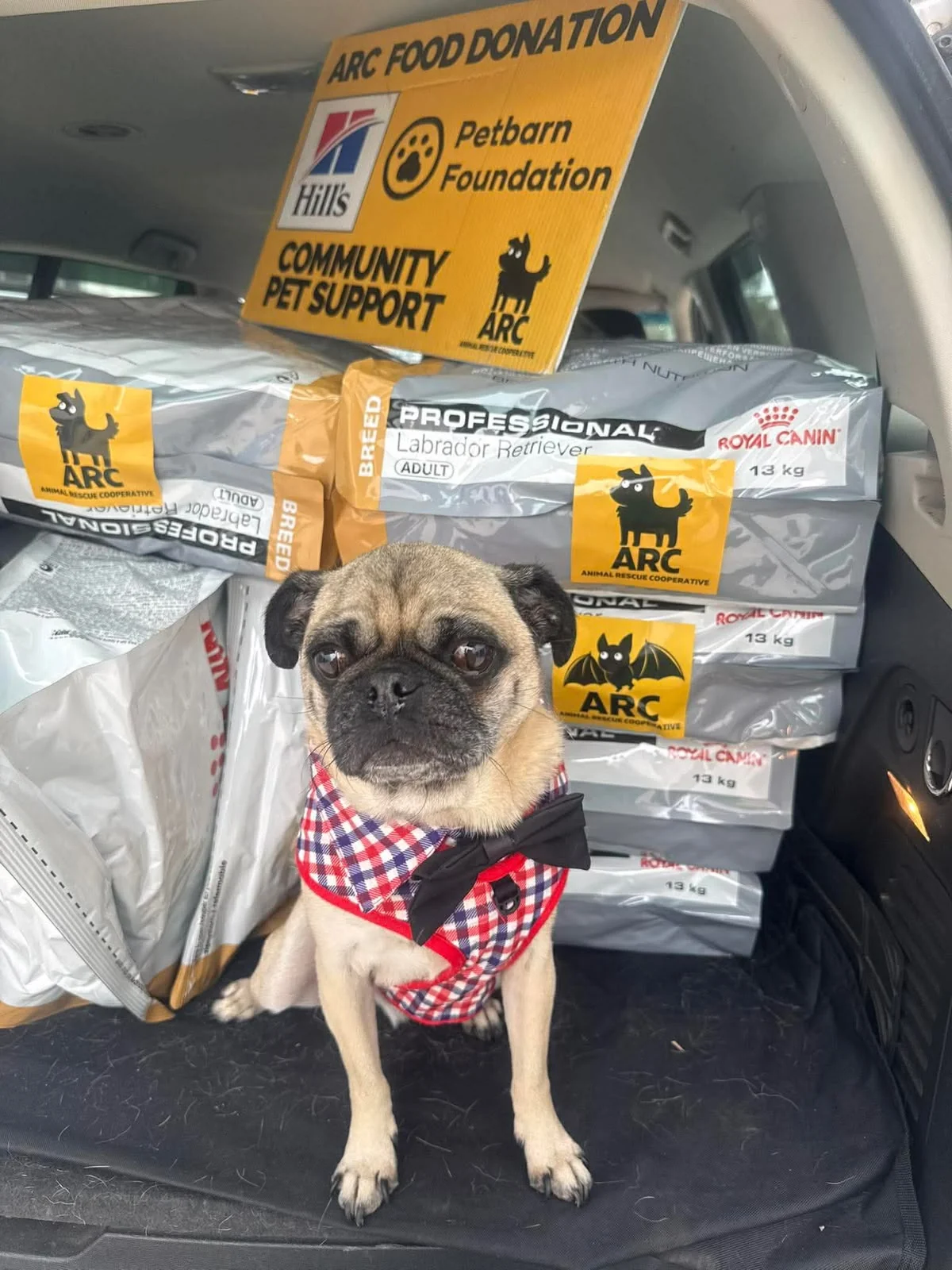 A pug beside donated food and an ARC sign