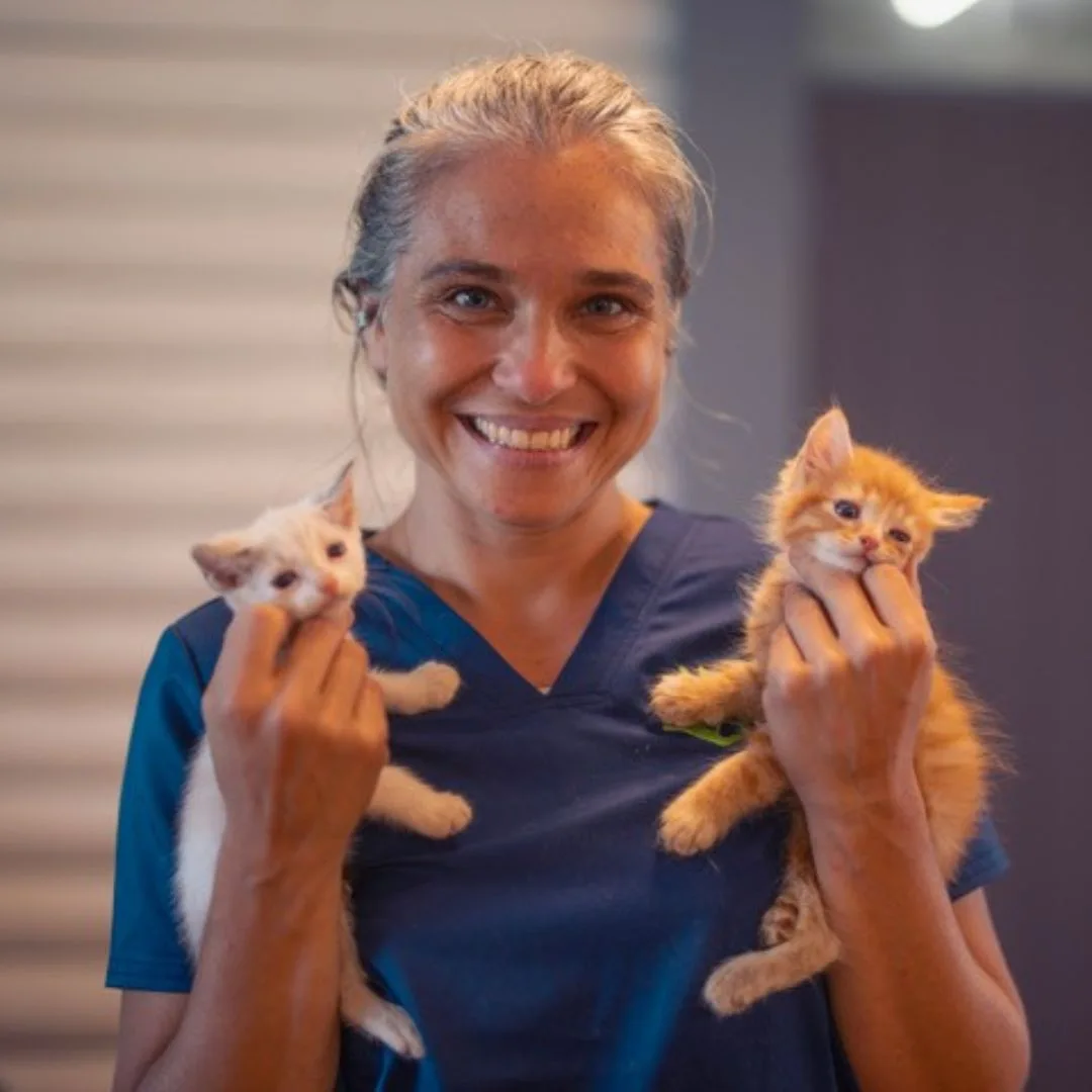A smiling carer holding two kittens