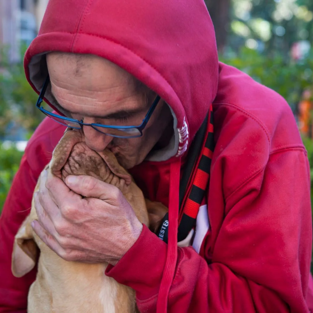 A person kissing a dog