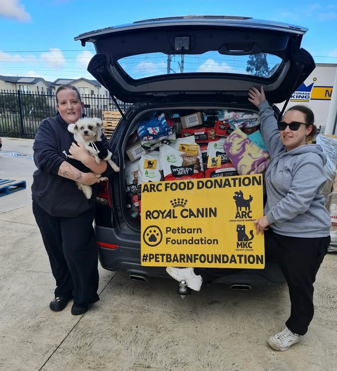 People with dogs beside a car loaded with ARC food donations