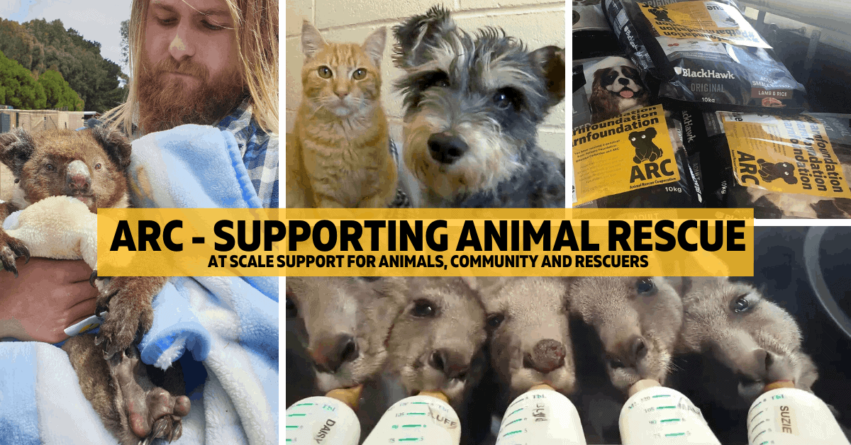 ARC Homepage - Animal Rescue Cooperative - ARC - Animal Rescue Cooperative